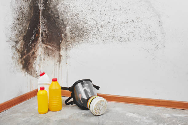 Best Crawl Space Mold Removal  in Spiro, OK