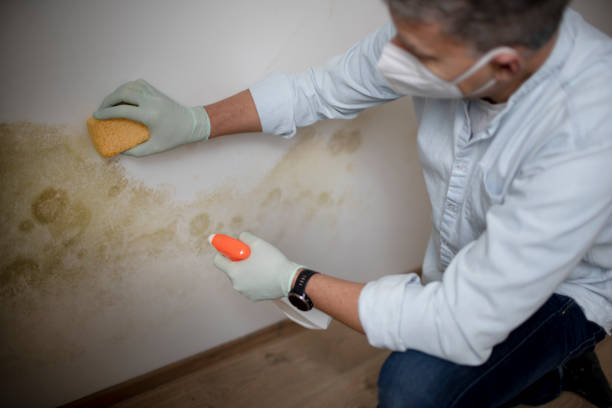 Best Emergency Mold Removal  in Spiro, OK