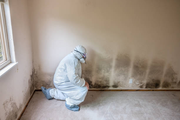 Best Residential Mold Removal  in Spiro, OK